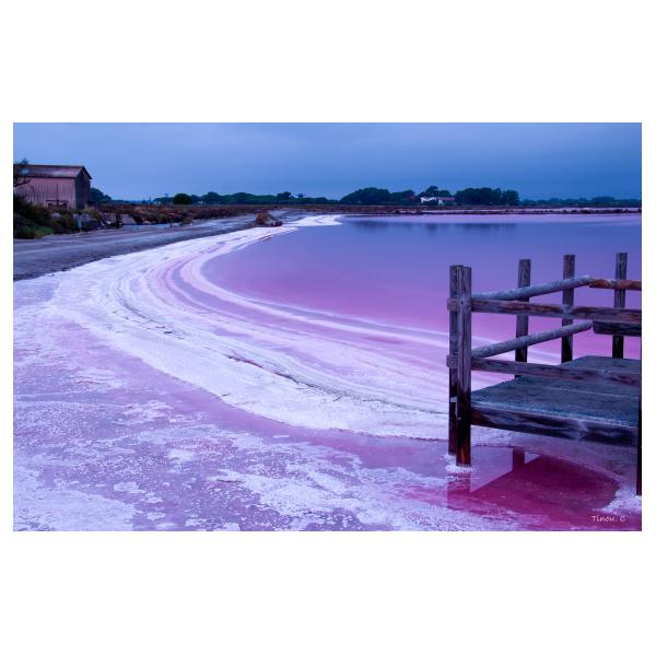 PHOTO84, CLUB, 84 , LUBERON